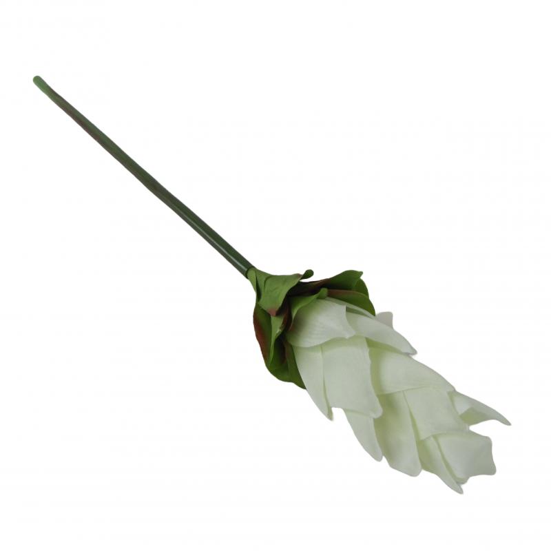 Kurkuma sztuczna 50cm